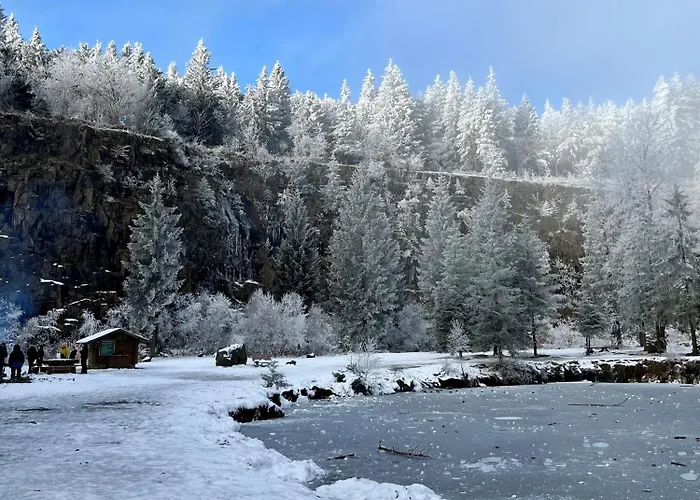 Daire Masskopf-blick